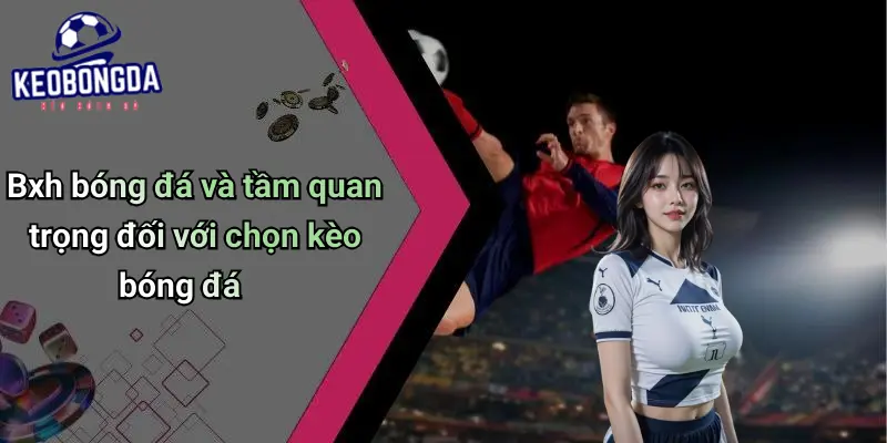 Bxh bóng đá và tầm quan trọng đối với chọn kèo bóng đá