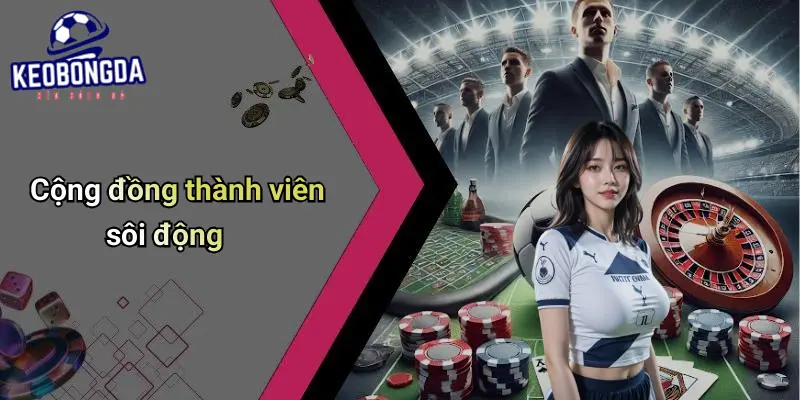Cộng đồng thành viên sôi động