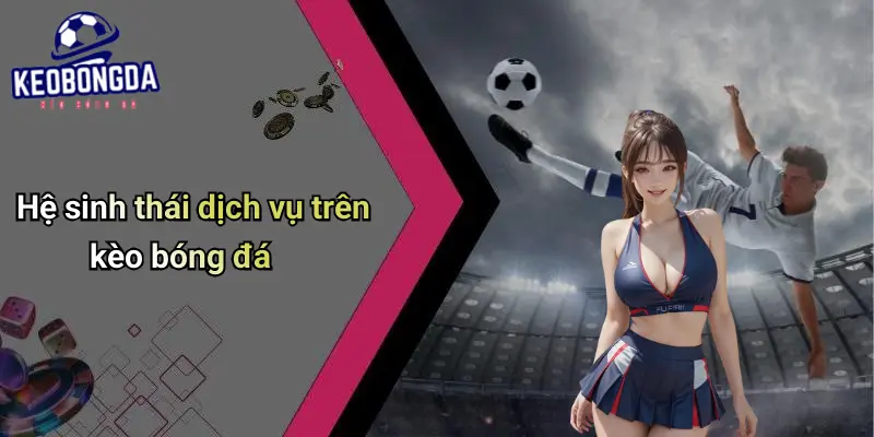 Hệ sinh thái dịch vụ trên kèo bóng đá