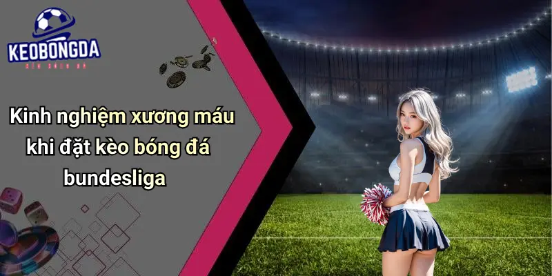 Kinh nghiệm xương máu khi đặt kèo bóng đá bundesliga