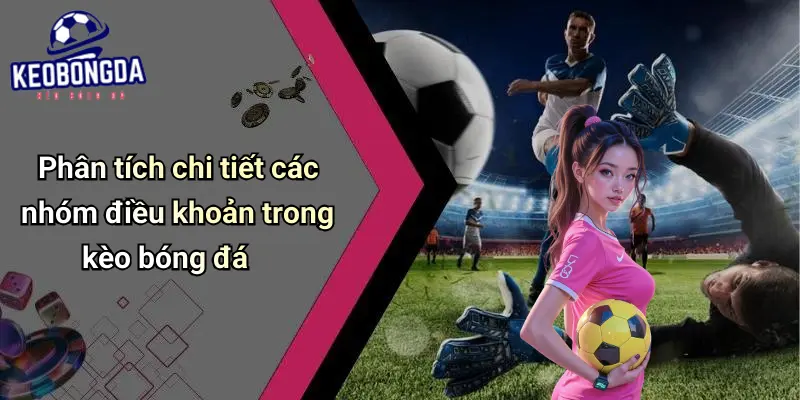 Phân tích chi tiết các nhóm điều khoản trong kèo bóng đá