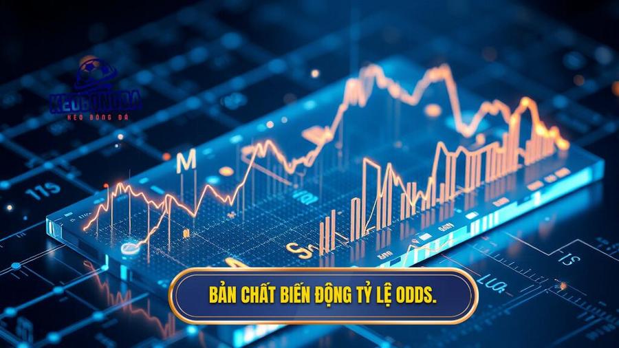 Soi kèo bóng đá dựa trên biến động tỷ lệ odds: Bí kíp thắng lớn 1 Bản chất biến động tỷ lệ Odds