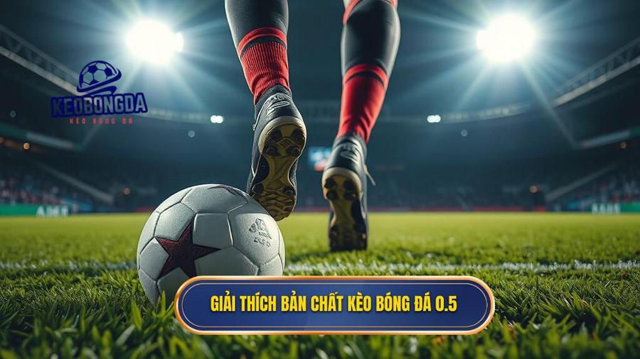 Giải thích bản chất kèo bóng đá 0.5