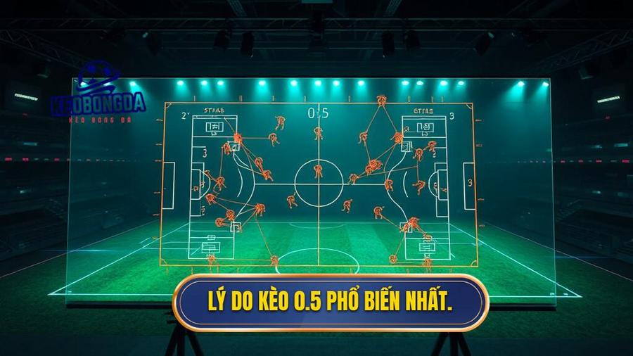 Lý do kèo 0.5 phổ biến nhất