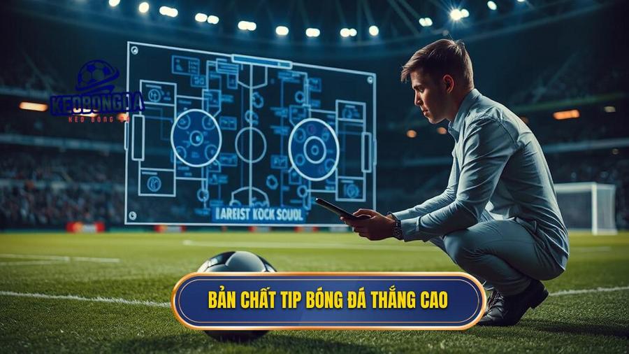 Hiểu đúng về bản chất của tip bóng đá thắng cao
