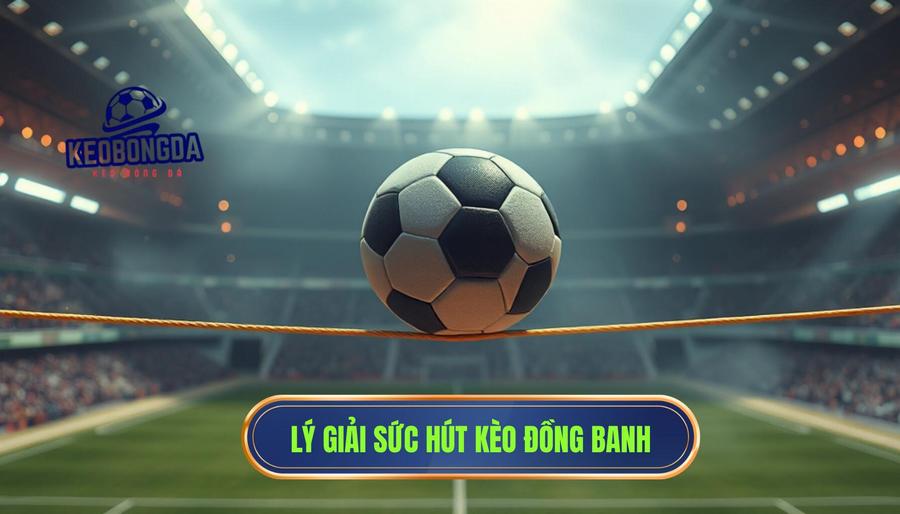 Kèo đồng banh (0:0) có thực sự dễ chơi như lời đồn? Phân tích từ góc nhìn chuyên gia 2 Tại sao có lời đồn kèo đồng banh "dễ ăn"?
