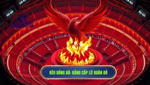 Vì sao Liverpool được gọi là Lữ Đoàn Đỏ? Hành trình từ màu xanh đến sắc đỏ huyền thoại