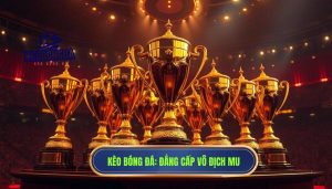 Manchester United đã vô địch bao nhiêu lần? Hành trình của gã khổng lồ bóng đá Anh